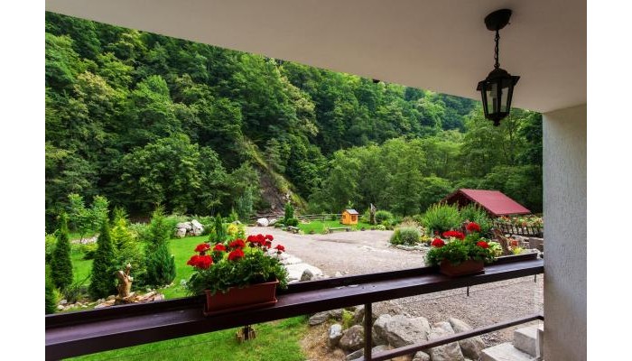 Pensiunea Retezat Râu De Mori poza 1