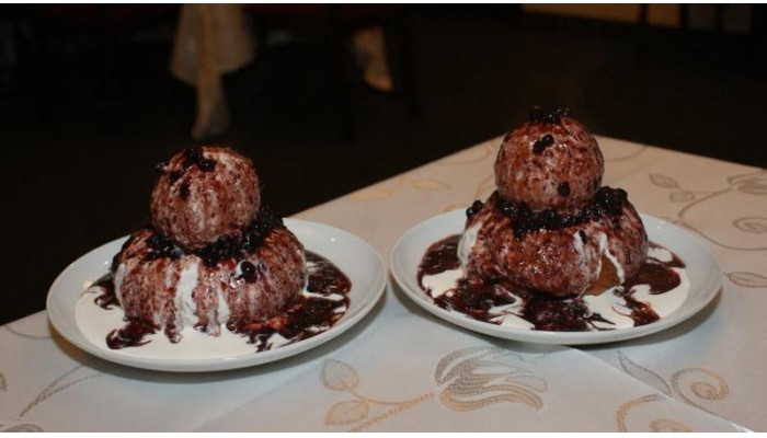 Vila Corviniana poza 1