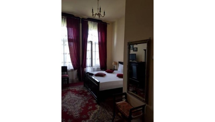 Vila Corviniana poza 2