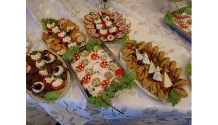 Vila Corviniana poza 3