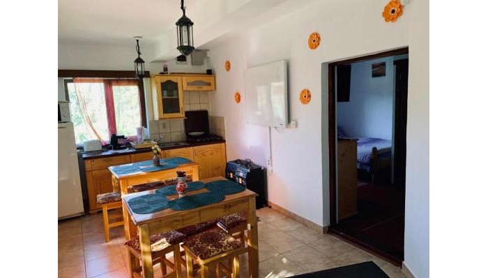 Hotel Casa Maria Izvorul Muresului poza 23