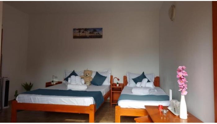 Hotel Casa Carina poza 5