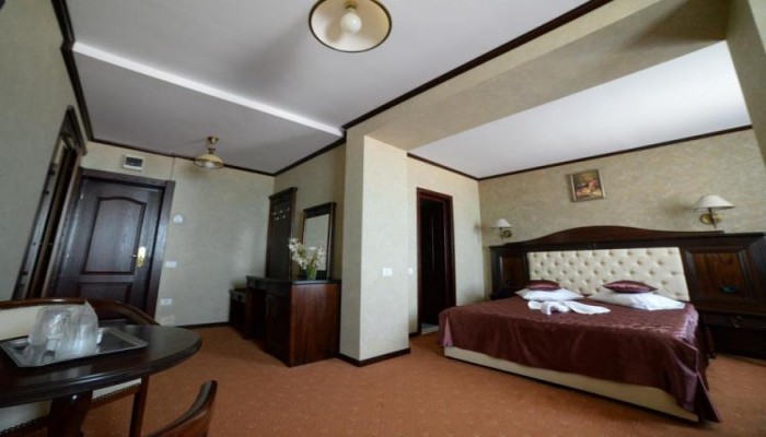 Hotel Dacia Sud poza 13