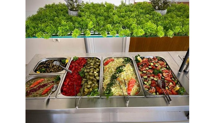 Hotel Voila Mamaia poza 13