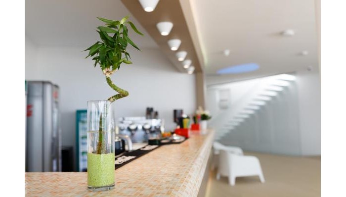 Poza pentru Hotel Zenith Conference Spa 7905-1694873028 Hotel Zenith Conference Spa poza 2