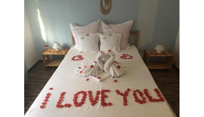 Poza pentru Hotel Ella Mansion 4975-1601024209 Hotel Ella Mansion poza 4