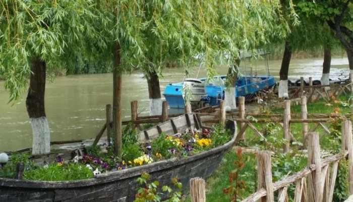 Hotel Delta Paradis poza 6