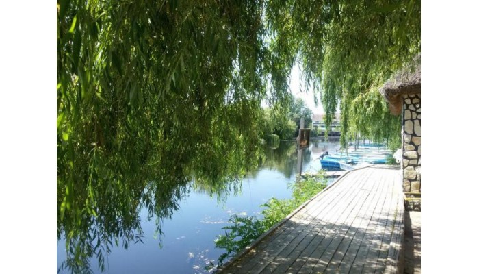 Hotel Delta Paradis poza 7