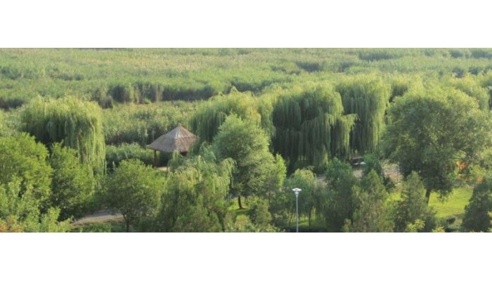 Puflene Resort poza 35