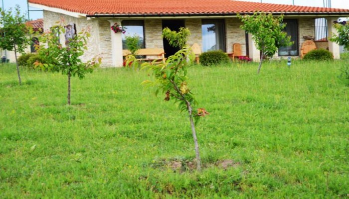 Puflene Resort poza 18