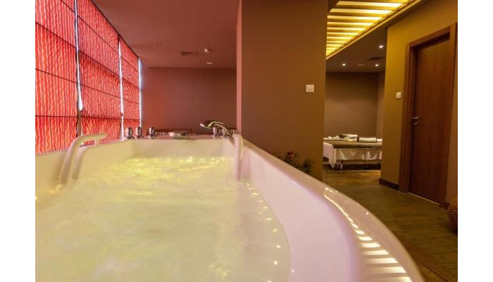 Hotel Cocor Spa poza 15