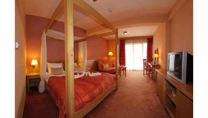 Hotel - Restaurant Gonduz poza 4