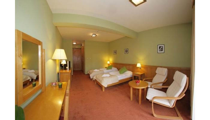 Hotel - Restaurant Gonduz poza 8