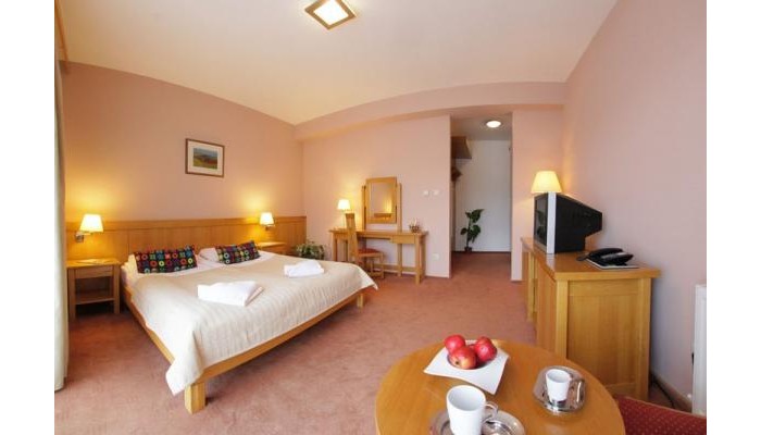 Hotel - Restaurant Gonduz poza 12