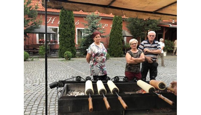 Pensiunea Trasura - Hinto Panzio poza 10