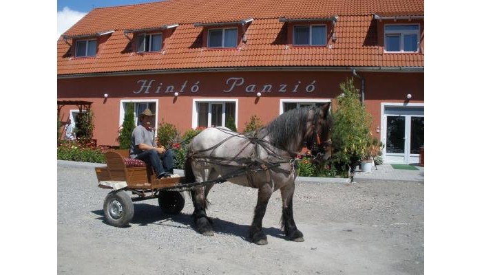 Pensiunea Trasura - Hinto Panzio poza 3