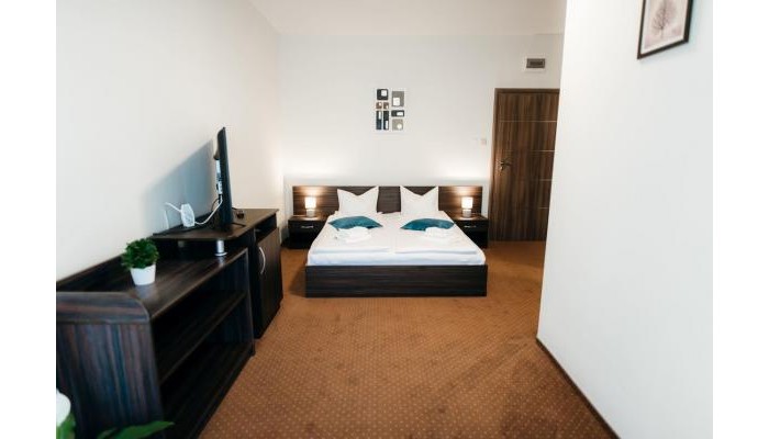 Villa Vitae Wellness & Spa poza 6