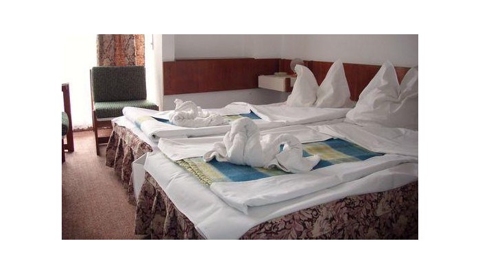 Hotel Banat poza 6