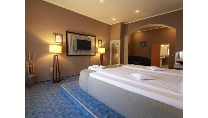 Aparthotel Atlantic Oradea poza 21