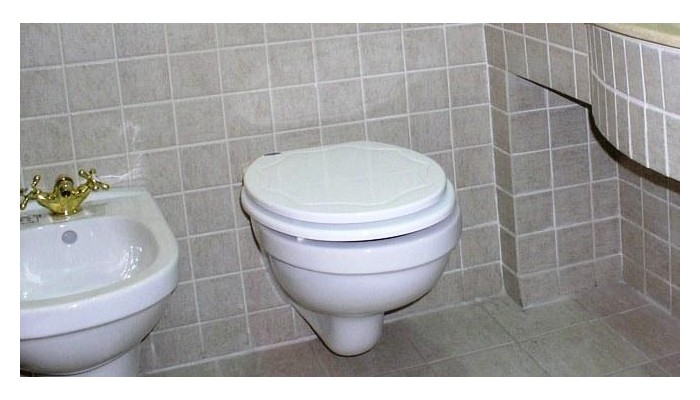 Hotel Vulturul Negru poza 1