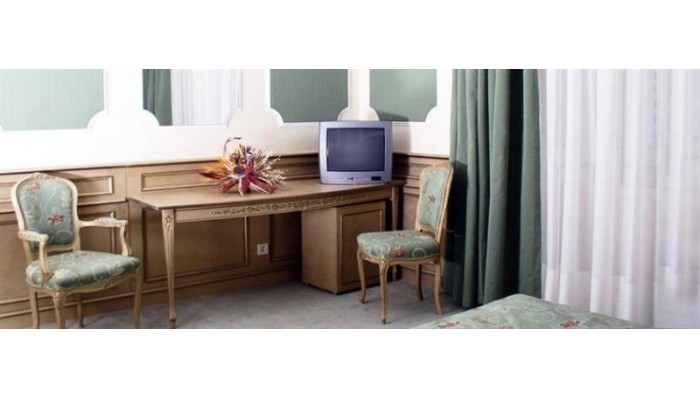 Hotel Vulturul Negru poza 5