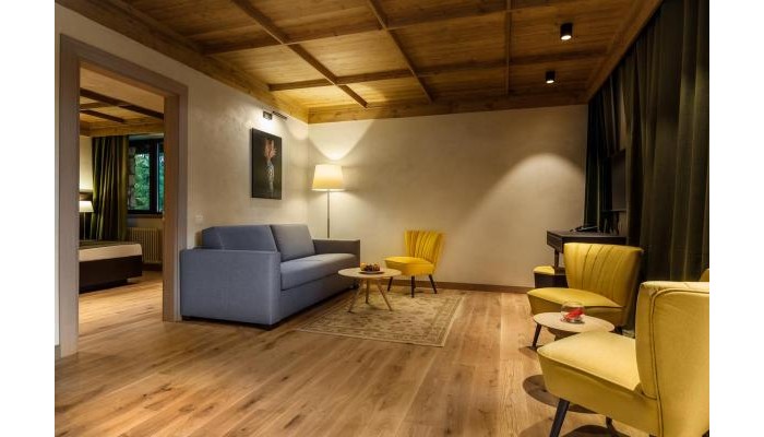 Ana Hotels Bradul Poiana Brasov poza 7