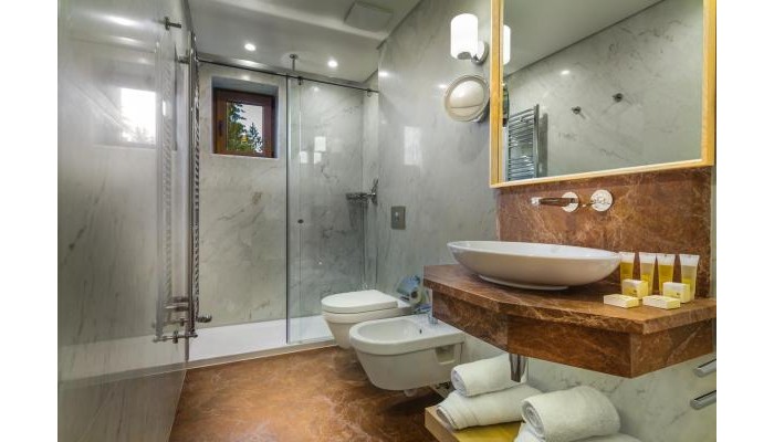 Ana Hotels Bradul Poiana Brasov poza 14