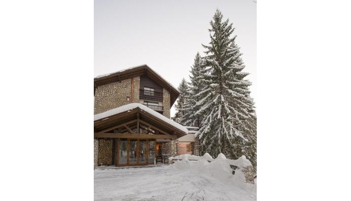 Ana Hotels Bradul Poiana Brasov poza 2