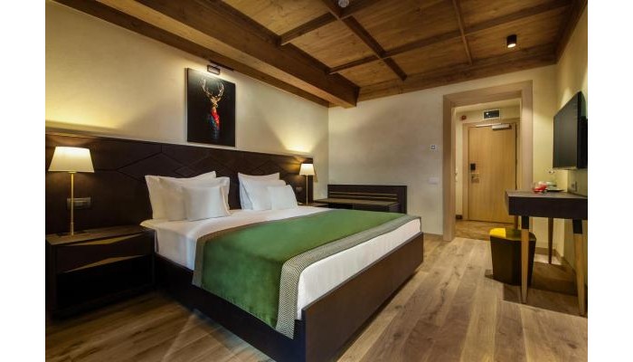 Ana Hotels Bradul Poiana Brasov poza 18
