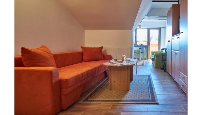 Apartment Poiana Stechil poza 4