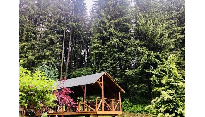 Hotel Boutique Casa Emil poza 11