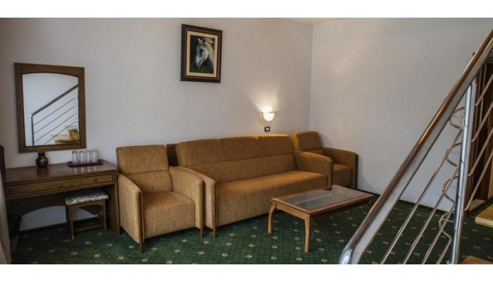 Hotel Casa Viorel poza 0