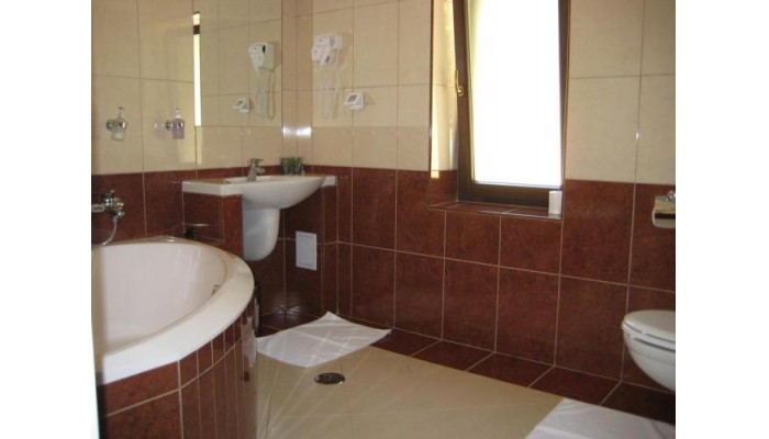 Hotel Casa Viorel poza 9