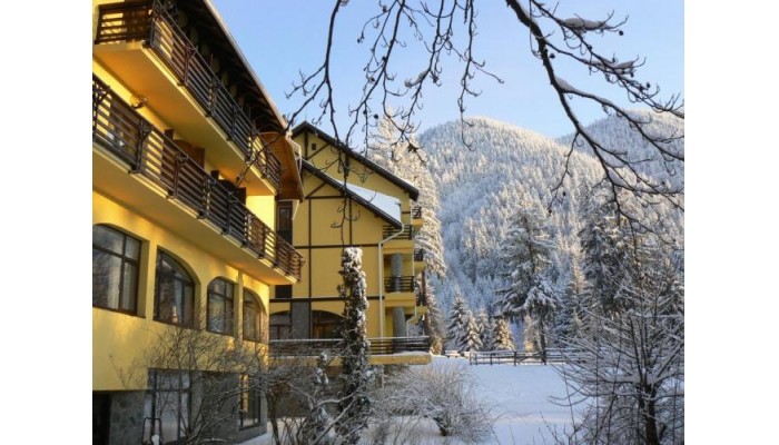 Hotel Casa Viorel poza 11