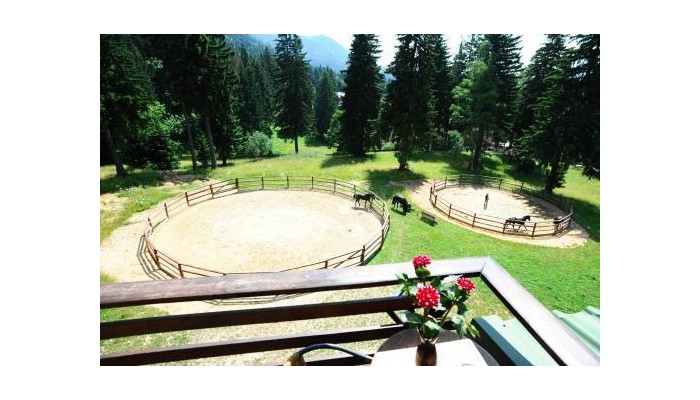 Hotel Casa Viorel poza 12