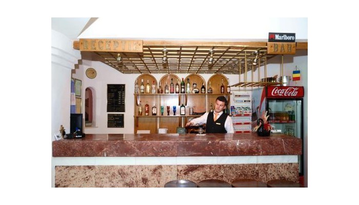 Hotel Casa Viorel poza 13