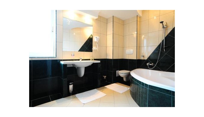 Hotel Casa Viorel poza 14