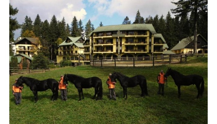 Hotel Casa Viorel poza 15