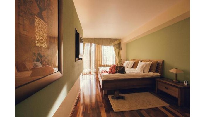 Hotel Denisa Boutique poza 4