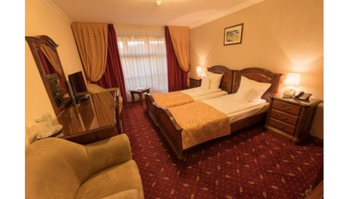 Poza pentru Hotel Edelweiss 547-1599724000 Hotel Edelweiss poza 9