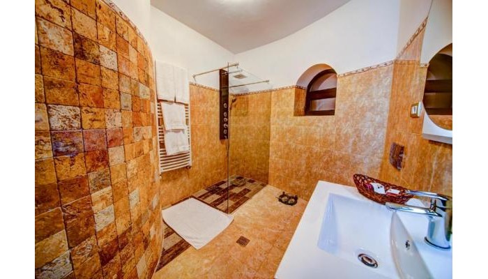 Hotel House Of Dracula poza 13