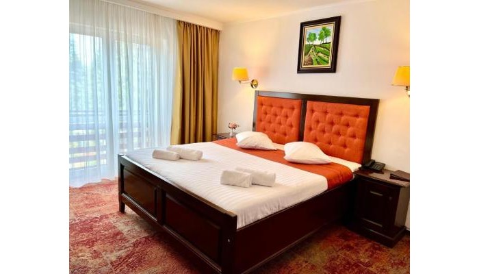 Hotel Piatra Mare poza 2