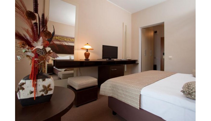 Hotel Rina Vista poza 10