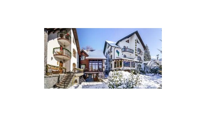 Pensiunea Crocus poza 0