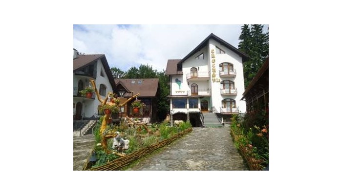 Pensiunea Crocus poza 1