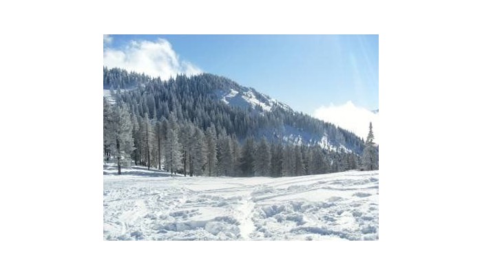 Pensiunea Crocus poza 7