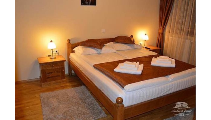 Pensiunea Andrei Si Denis poza 2