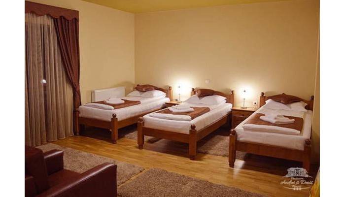 Pensiunea Andrei Si Denis poza 3