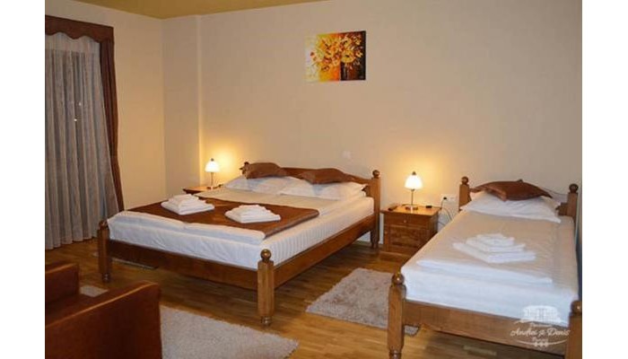 Pensiunea Andrei Si Denis poza 6