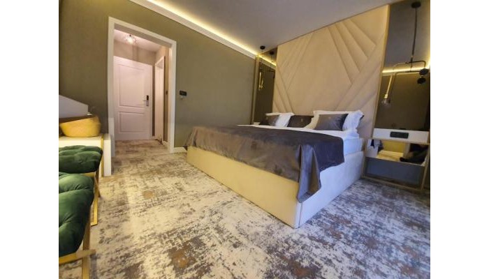 Elexus Hotel Predeal poza 2